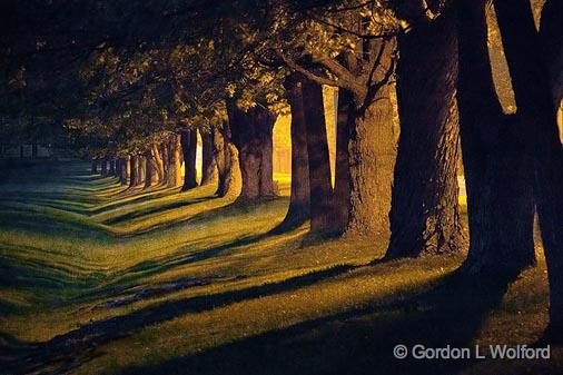 Tree Shadows_20762-4.jpg - Photographed near Smiths Falls, Ontario, Canada.